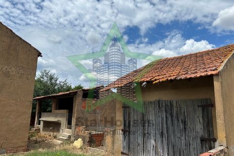 Farm i Tomar, Santarem, Tomar - € 165.000 | Ref: Star_142 - foto 6