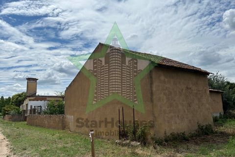 Farm i Tomar, Santarem, Tomar - € 165.000 | Ref: Star_142 - foto 7