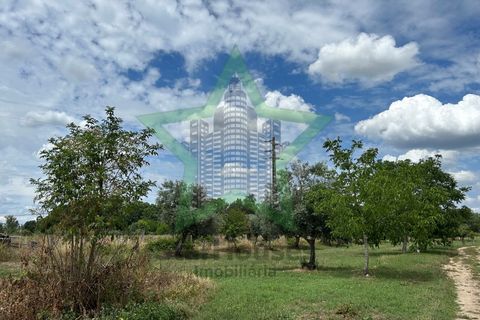 Farm i Tomar, Santarem, Tomar - € 165.000 | Ref: Star_142 - foto 8