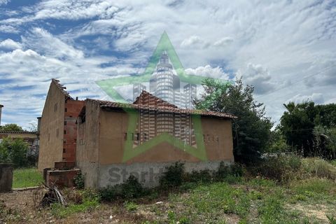 Farm i Tomar, Santarem, Tomar - € 165.000 | Ref: Star_142 - foto 9