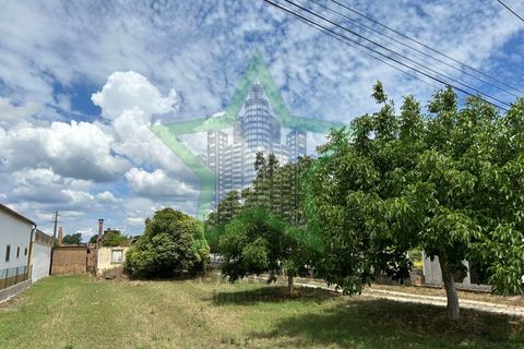 Farm i Tomar, Santarem, Tomar - € 165.000 | Ref: Star_142 - foto 10