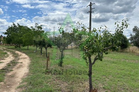 Farm i Tomar, Santarem, Tomar - € 165.000 | Ref: Star_142 - foto 11