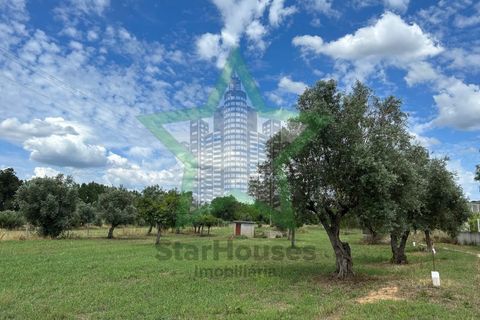 Farm i Tomar, Santarem, Tomar - € 165.000 | Ref: Star_142 - foto 12