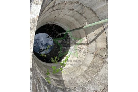 Farm i Tomar, Santarem, Tomar - € 165.000 | Ref: Star_142 - foto 13