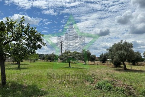 Farm i Tomar, Santarem, Tomar - € 165.000 | Ref: Star_142 - foto 14