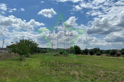 Farm i Tomar, Santarem, Tomar - € 165.000 | Ref: Star_142 - foto 16