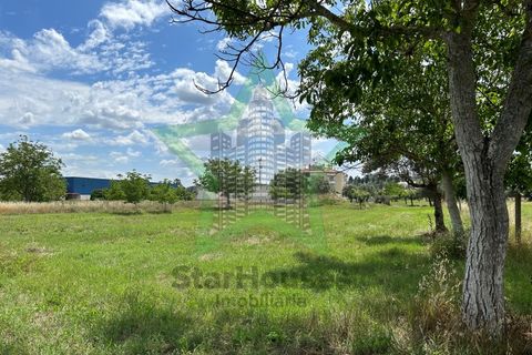 Farm i Tomar, Santarem, Tomar - € 165.000 | Ref: Star_142 - foto 17