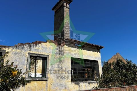 Farm i Tomar, Santarem, Tomar - € 165.000 | Ref: Star_142 - foto 21