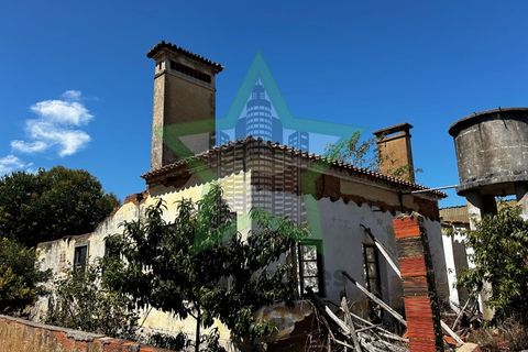 Farm i Tomar, Santarem, Tomar - € 165.000 | Ref: Star_142 - foto 22