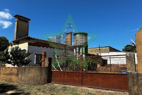 Farm i Tomar, Santarem, Tomar - € 165.000 | Ref: Star_142 - foto 24