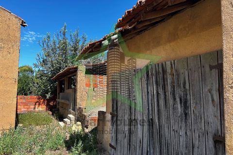 Farm i Tomar, Santarem, Tomar - € 165.000 | Ref: Star_142 - foto 25