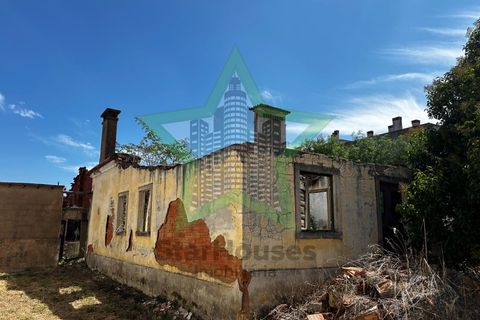 Farm i Tomar, Santarem, Tomar - € 165.000 | Ref: Star_142 - foto 27