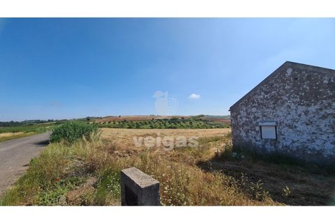 Helårsgrund i Carvalhal, Leiria, Carvalhal - € 150.000 | Ref: CAL-214172 - foto 2