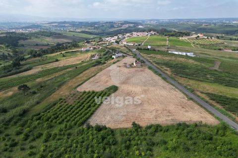 Helårsgrund i Carvalhal, Leiria, Carvalhal - € 150.000 | Ref: CAL-214172 - foto 3