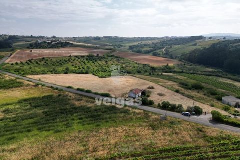 Helårsgrund i Carvalhal, Leiria, Carvalhal - € 150.000 | Ref: CAL-214172 - foto 4