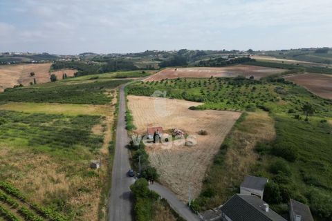 Helårsgrund i Carvalhal, Leiria, Carvalhal - € 150.000 | Ref: CAL-214172 - foto 5