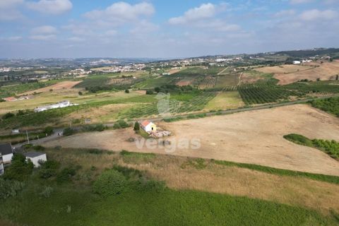 Helårsgrund i Carvalhal, Leiria, Carvalhal - € 150.000 | Ref: CAL-214172 - foto 6