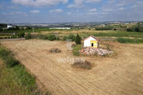 Helårsgrund i Carvalhal, Leiria, Carvalhal - € 150.000 | Ref: CAL-214172 - foto 7