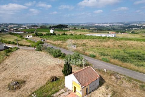 Helårsgrund i Carvalhal, Leiria, Carvalhal - € 150.000 | Ref: CAL-214172 - foto 8