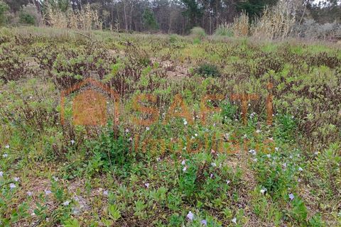 Helårsgrund i Maxial e Monte Redondo, Lisbon, Maxial e Monte Redondo - € 55.000 | Ref: SAFTI:003543 - foto 2