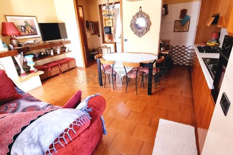 Villa a Pescara, Pescara, Pescara - € 550.000 | Ref: 1228-V - foto 12