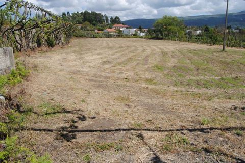 Farm i Amarante, Porto, Amarante - € 299.000 | Ref: 985 - foto 3