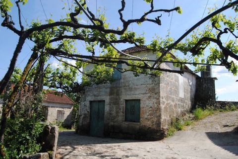 Farm i Amarante, Porto, Amarante - € 299.000 | Ref: 985 - foto 4