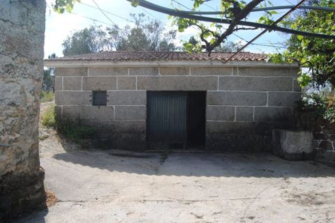 Farm i Amarante, Porto, Amarante - € 299.000 | Ref: 985 - foto 7