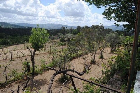 Farm i Amarante, Porto, Amarante - € 299.000 | Ref: 985 - foto 9