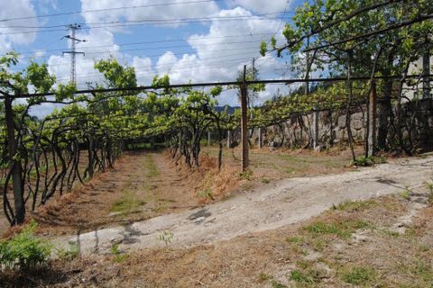 Farm i Amarante, Porto, Amarante - € 299.000 | Ref: 985 - foto 11