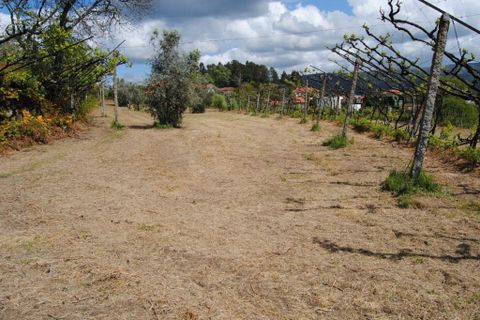 Farm i Amarante, Porto, Amarante - € 299.000 | Ref: 985 - foto 12