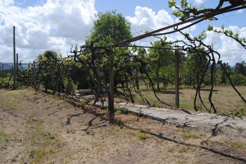 Farm i Amarante, Porto, Amarante - € 299.000 | Ref: 985 - foto 13