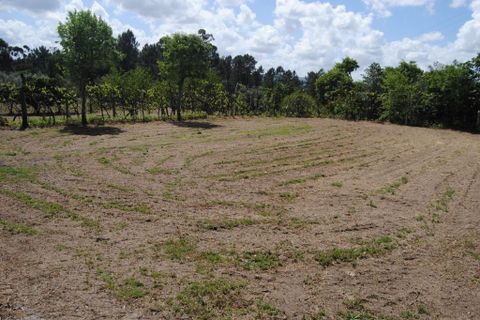 Farm i Amarante, Porto, Amarante - € 299.000 | Ref: 985 - foto 14