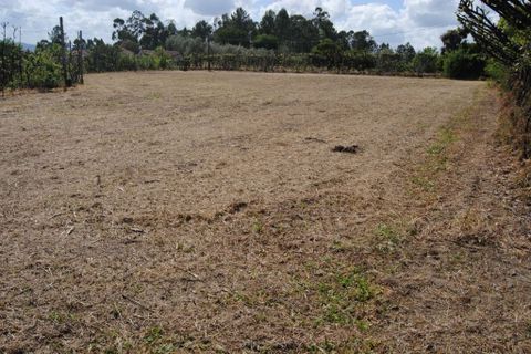 Farm i Amarante, Porto, Amarante - € 299.000 | Ref: 985 - foto 15