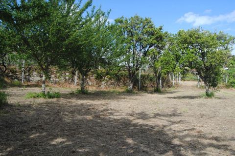 Farm i Amarante, Porto, Amarante - € 299.000 | Ref: 985 - foto 16
