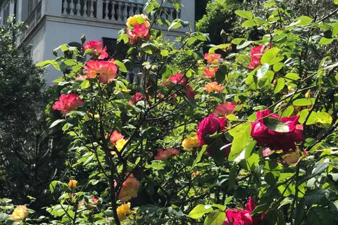 Villa i Dizzasco, Como, Dizzasco - € 4.900.000 | Ref: 82756742 - foto 33