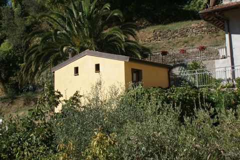 Villa i Luni, La Spezia, Luni - € 295.000 | Ref: 2564 - foto 5