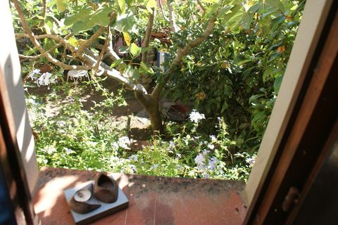 Villa i Luni, La Spezia, Luni - € 295.000 | Ref: 2564 - foto 14