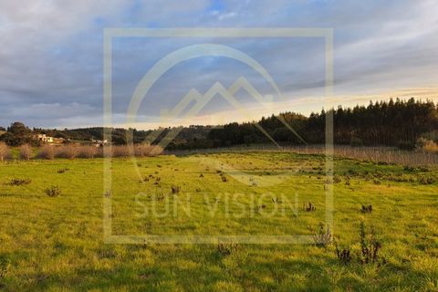 Villa i Caldas da Rainha, Leiria, Caldas da Rainha - € 490.000 | Ref: SV_MOR602 - foto 11