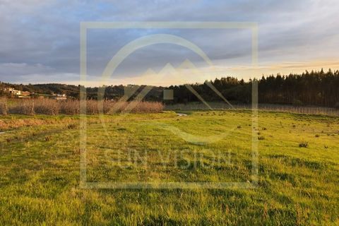 Villa i Caldas da Rainha, Leiria, Caldas da Rainha - € 470.000 | Ref: SV_MOR600 - foto 9