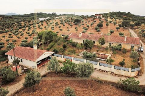 Villa i Estremoz, Evora, Estremoz - € 1.500.000 | Ref: SV_MOR598 - foto 3