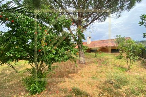Villa i Estremoz, Evora, Estremoz - € 1.500.000 | Ref: SV_MOR598 - foto 5