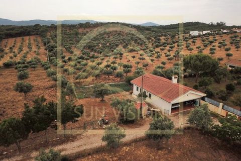 Villa i Estremoz, Evora, Estremoz - € 1.500.000 | Ref: SV_MOR598 - foto 34