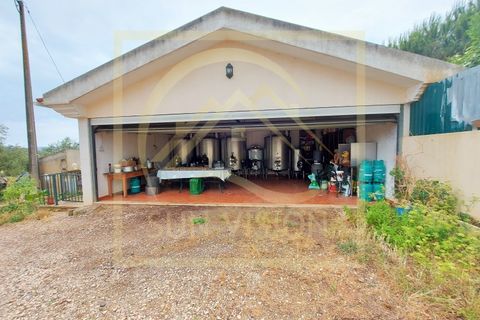 Villa i Estremoz, Evora, Estremoz - € 1.500.000 | Ref: SV_MOR598 - foto 35