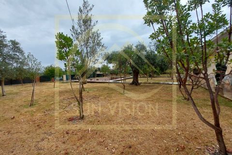 Villa i Estremoz, Evora, Estremoz - € 1.500.000 | Ref: SV_MOR598 - foto 41