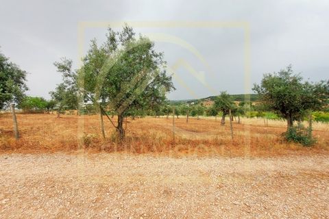 Villa i Estremoz, Evora, Estremoz - € 1.500.000 | Ref: SV_MOR598 - foto 42