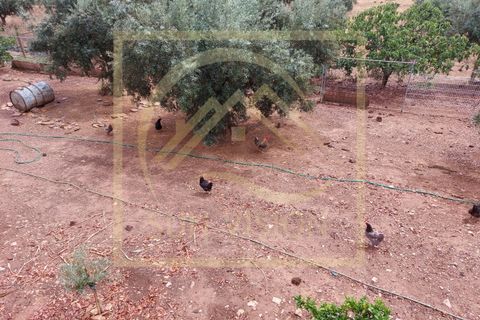 Villa i Estremoz, Evora, Estremoz - € 1.500.000 | Ref: SV_MOR598 - foto 46