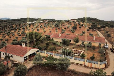 Farm i Estremoz, Evora, Estremoz - € 1.200.000 | Ref: SV_QUI596 - foto 1