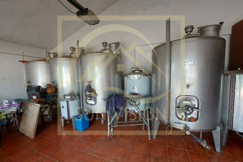 Farm i Estremoz, Evora, Estremoz - € 1.200.000 | Ref: SV_QUI596 - foto 33