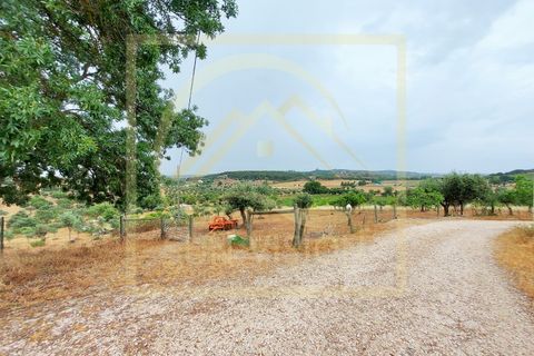 Farm i Estremoz, Evora, Estremoz - € 1.200.000 | Ref: SV_QUI596 - foto 35